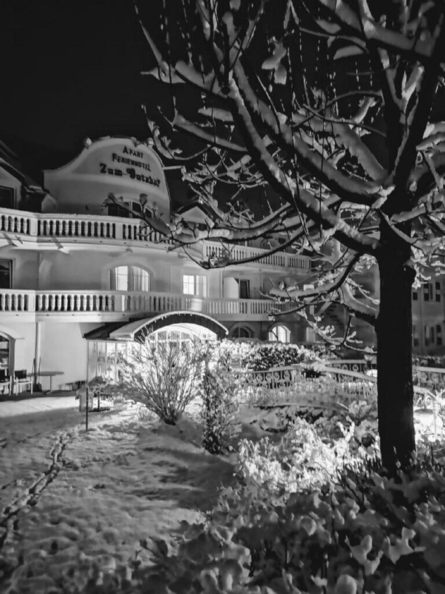 Ferienappartements-Grolik Im Aparthotel Zum Gutshof Hohenwarth Екстер'єр фото